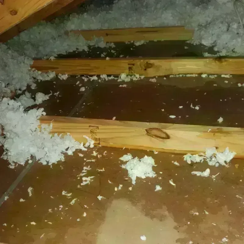 Attic Water Damage in Rohnert Park, CA