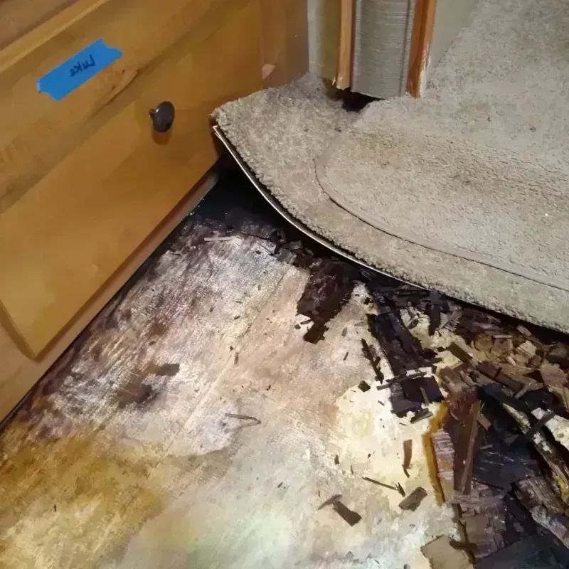 Wood Floor Water Damage in Rohnert Park, CA